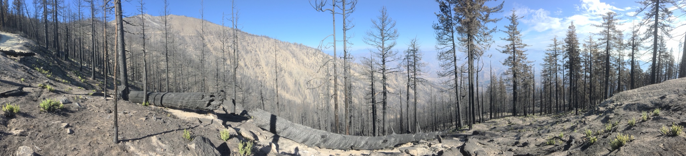 Panorama of the 2018 Carr Fire burn area, northern California