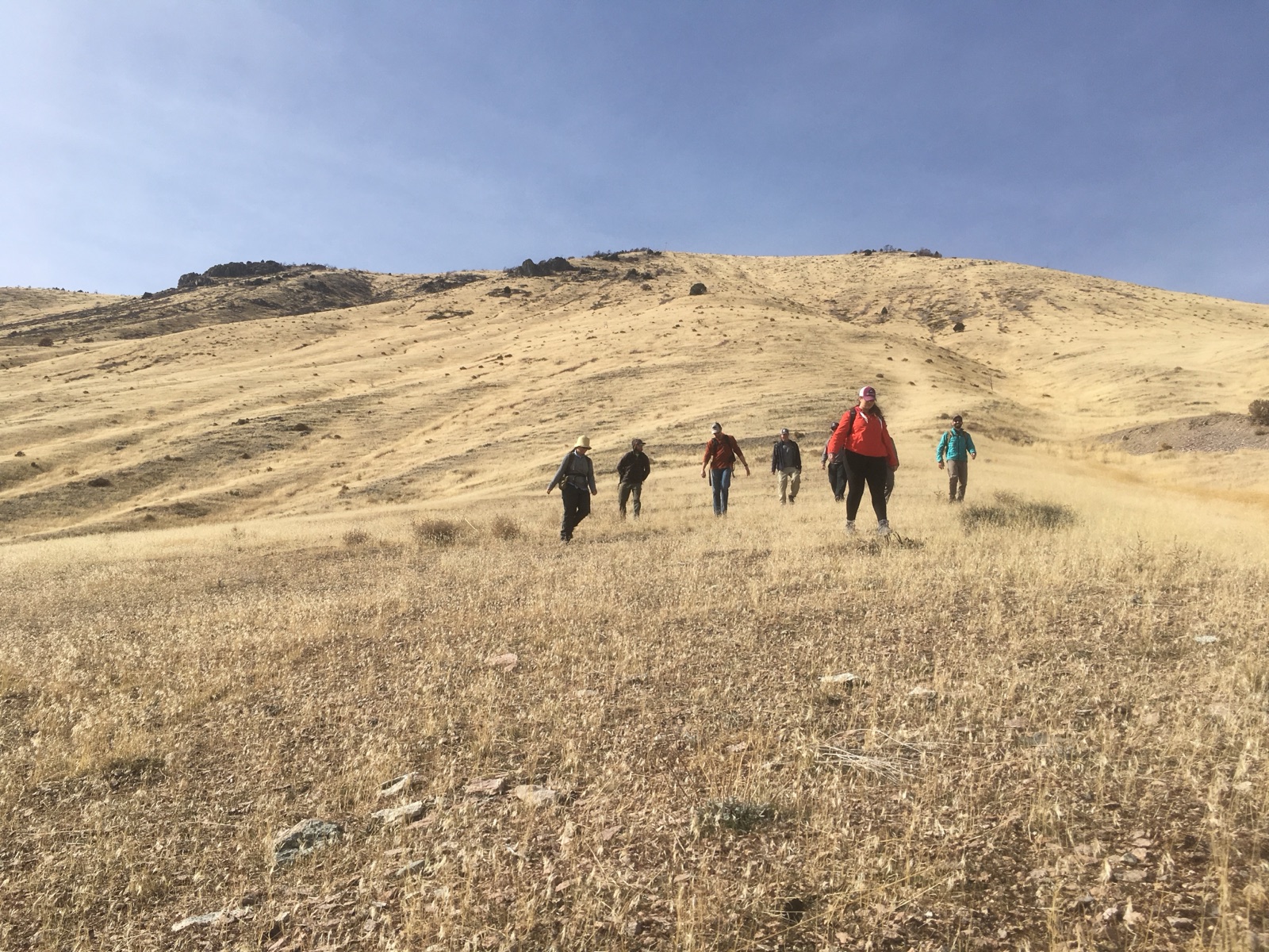 A field-trip group hiking a grassy hillslope