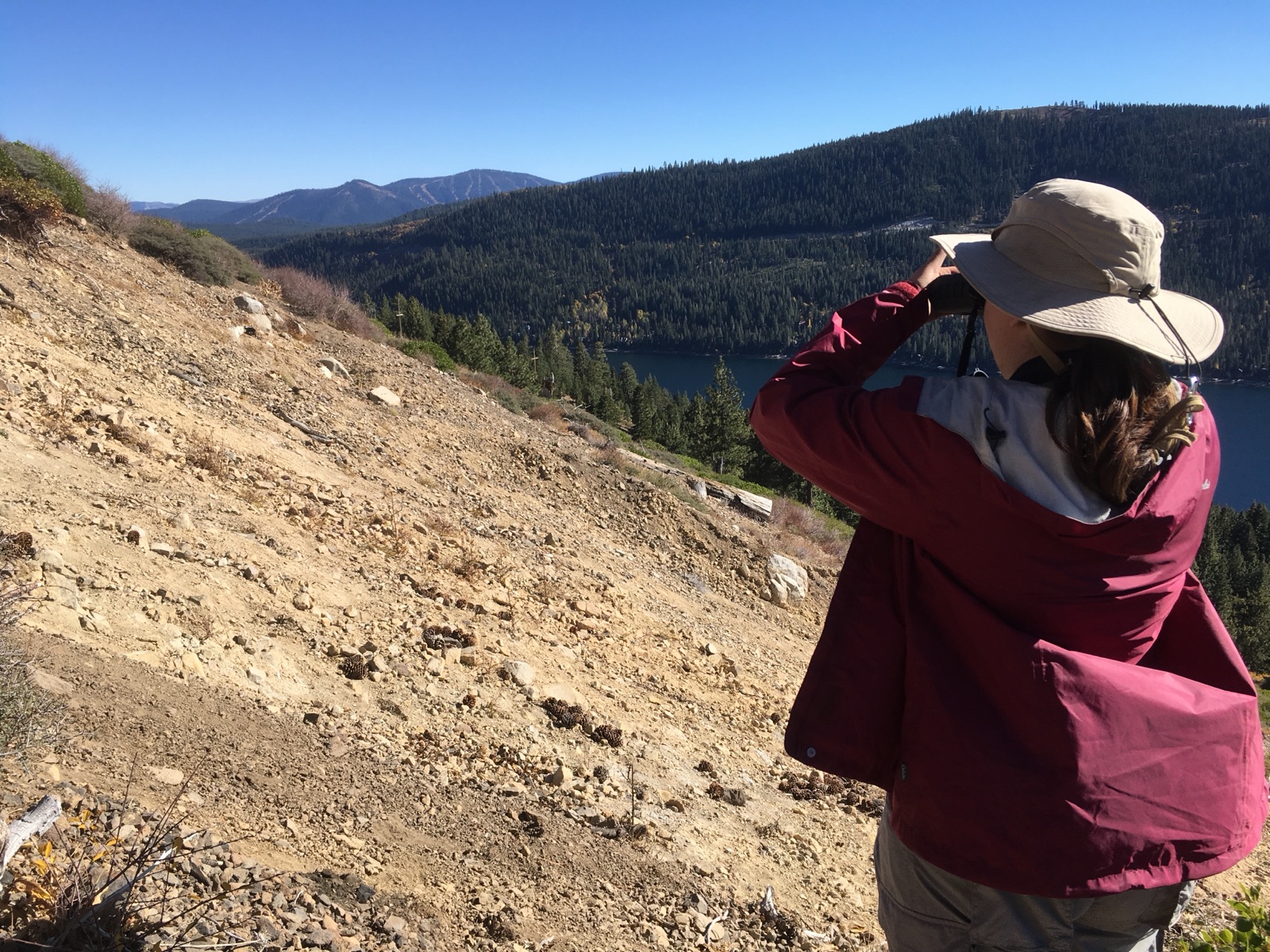A student surveying a lake and valley from a slope