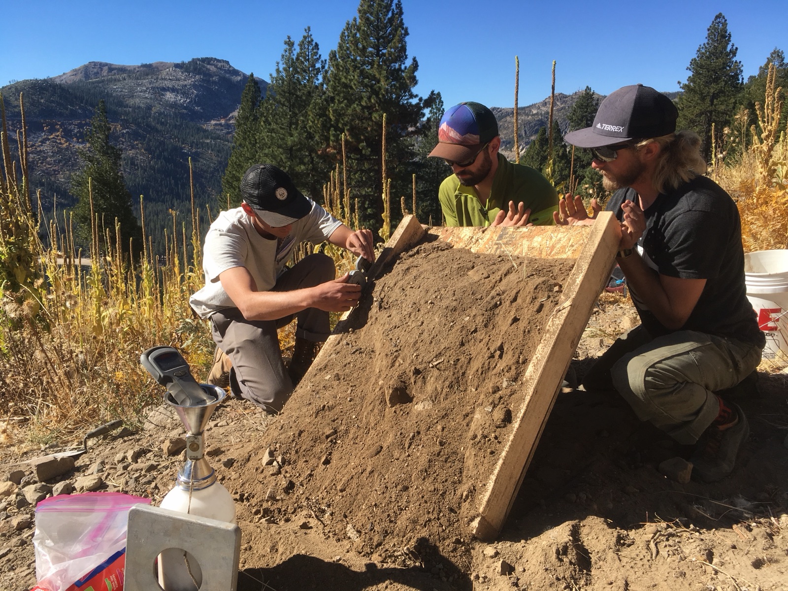 Students sampling soil during a field lab