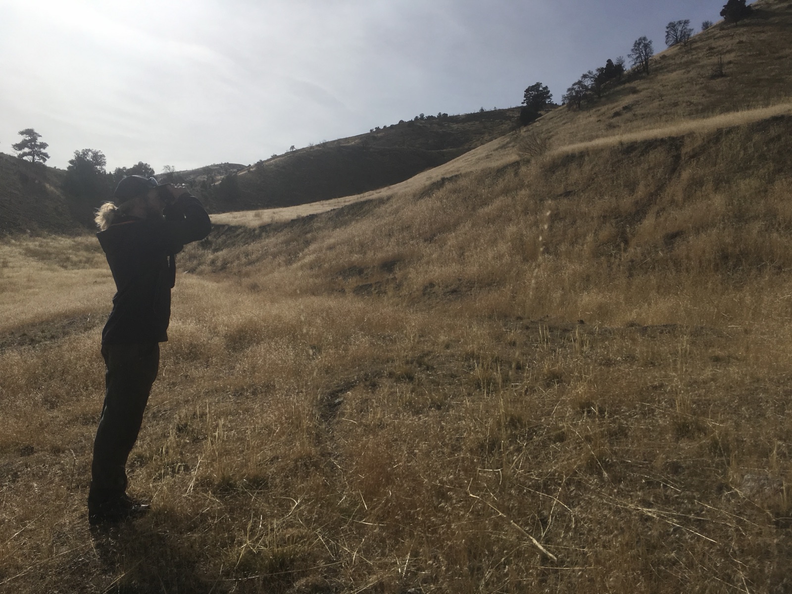 A student taking measurements in a grassland valley