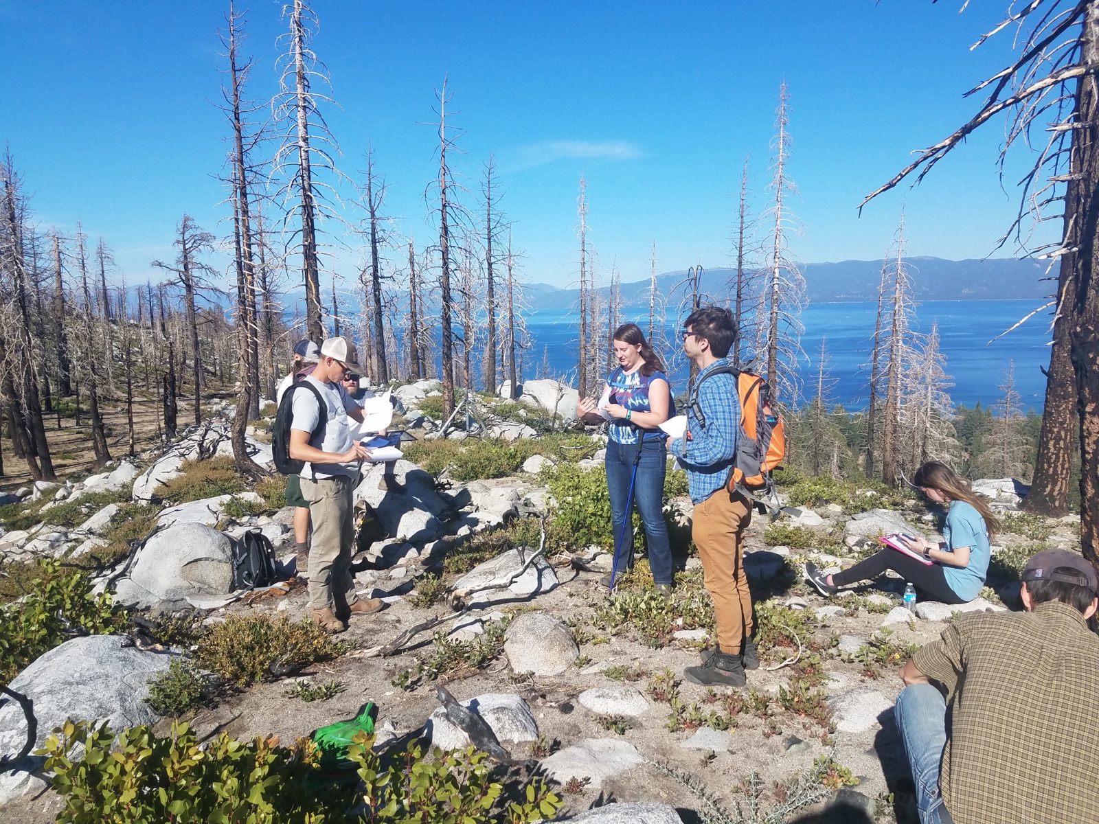 Students mapping among fire-killed trees above Lake Tahoe